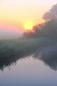 Sonnenaufgang im Flussnebel/11568210